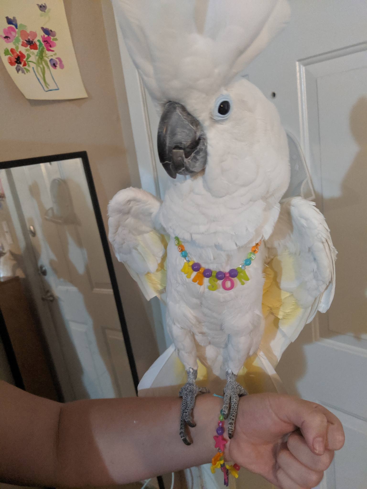 Mason judging you in beads